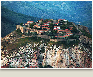 Welcome to ELITWEB Template